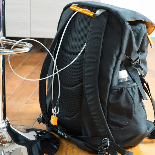 Talus Luggage Security Cable ST-SC59-CLR